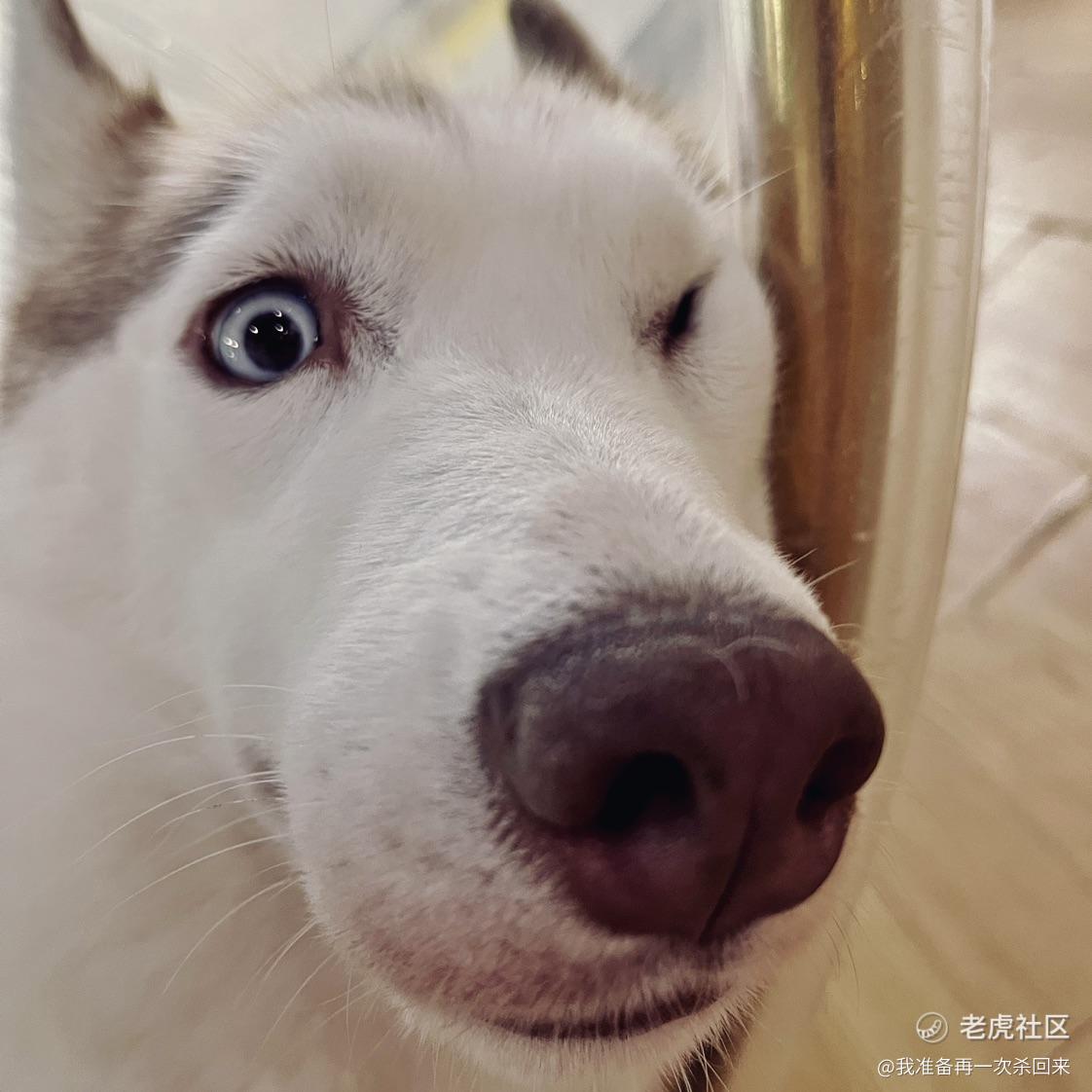 我准备再一次杀回来
