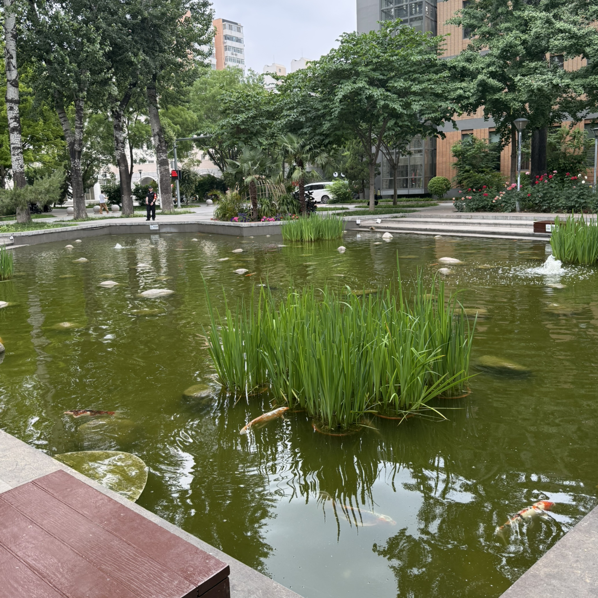 岑岑Wang