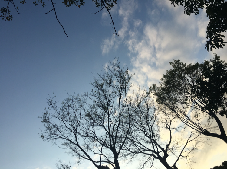 静水流深kkk