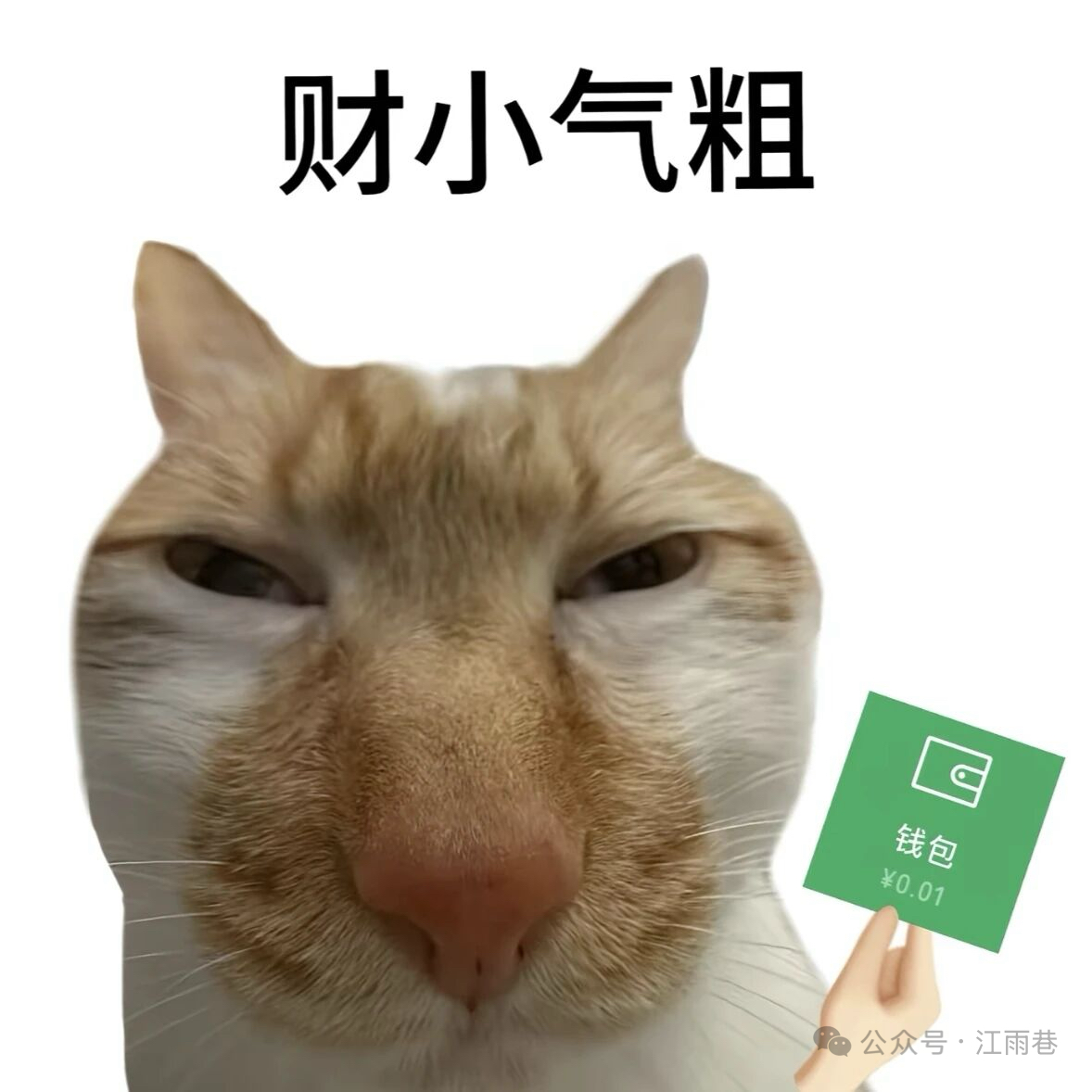 张鹏666