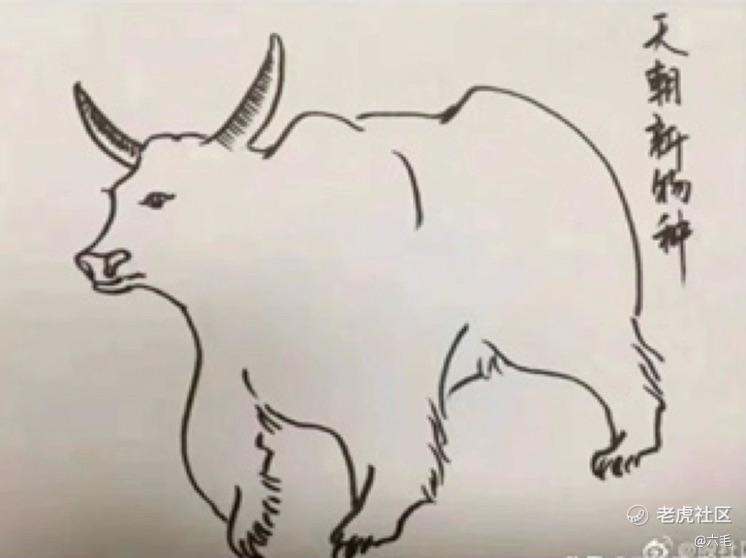 六毛