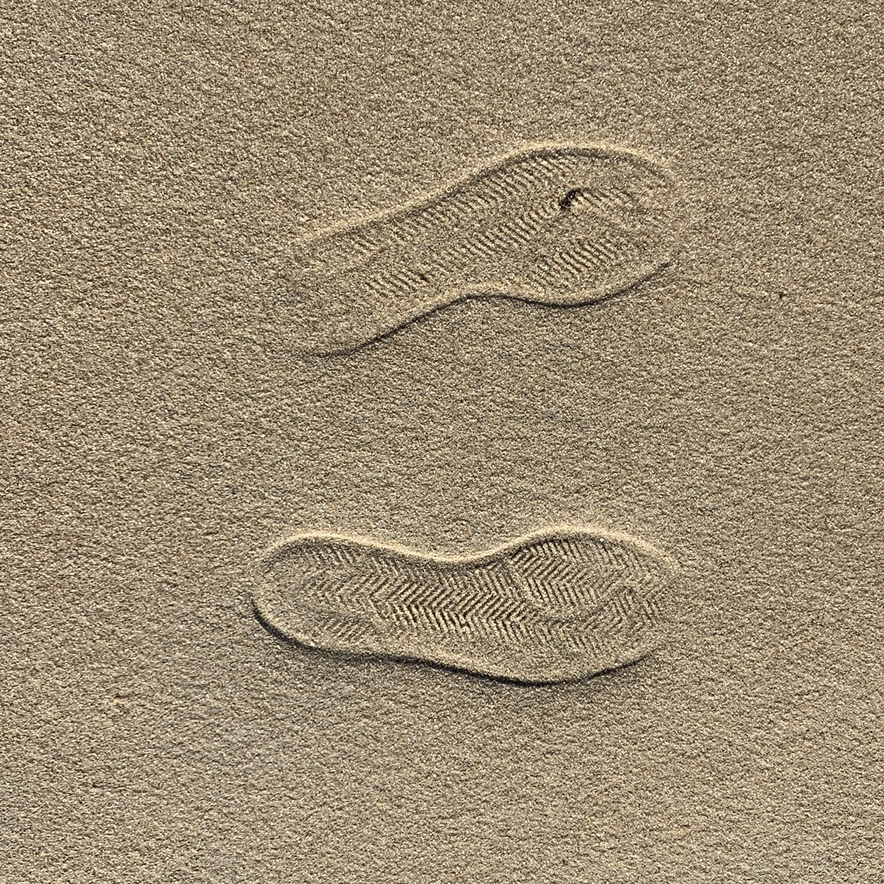 股神宾阳梁朝伟