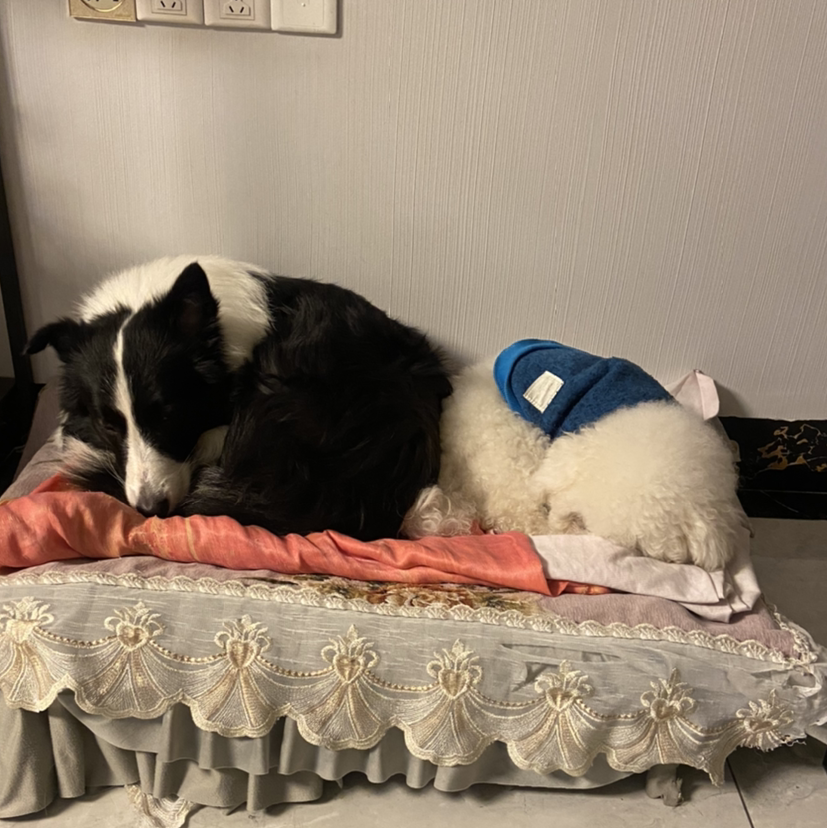 容搞起