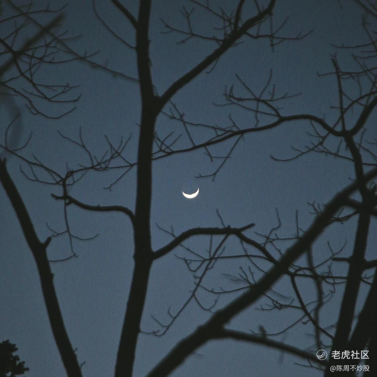 陈周不炒股