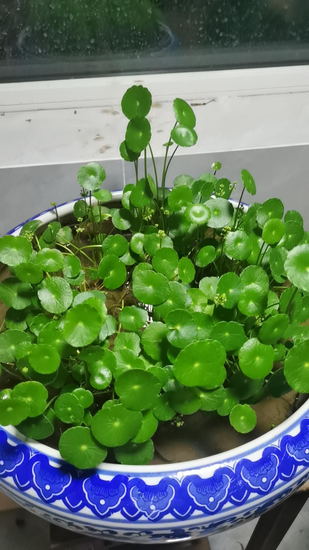 知行合一很重要
