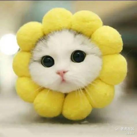 多带点