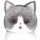 唐蕊