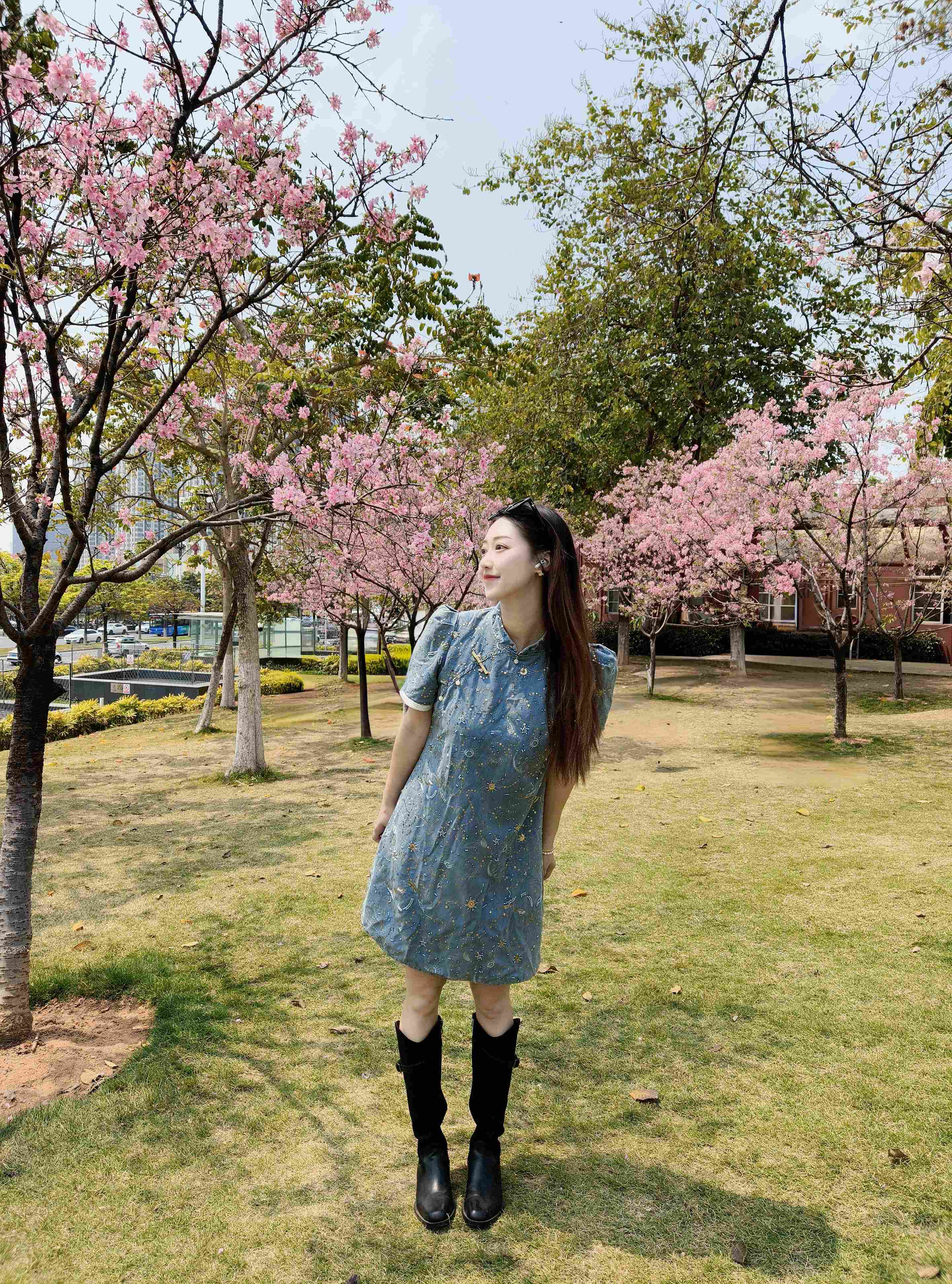 迟小姐