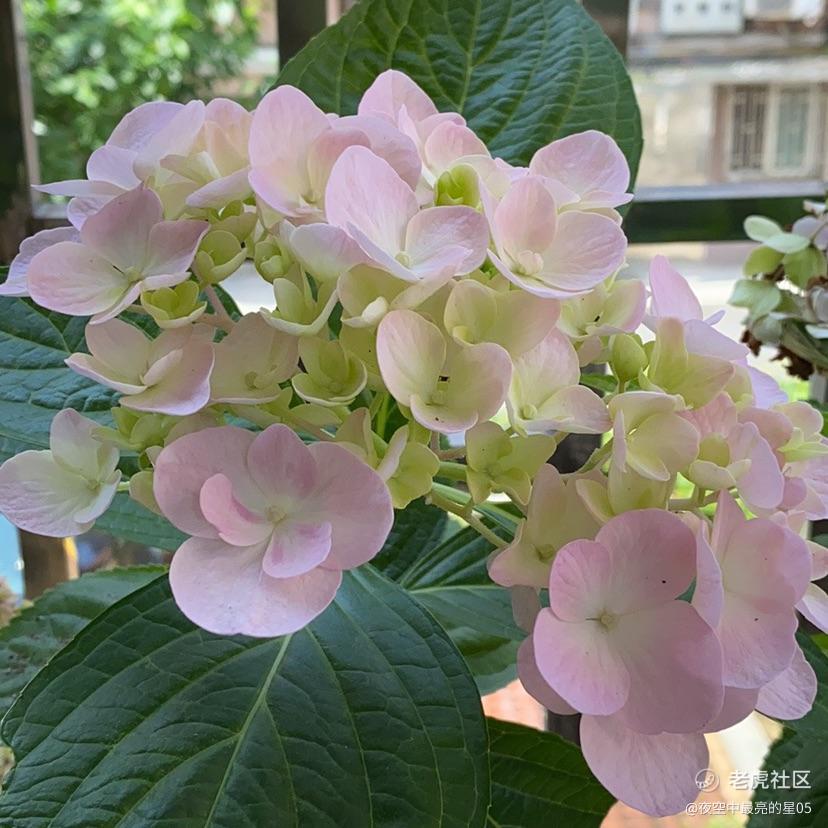 夜空中最亮的星05