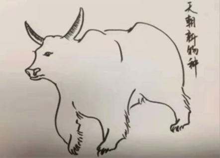 飞翔G