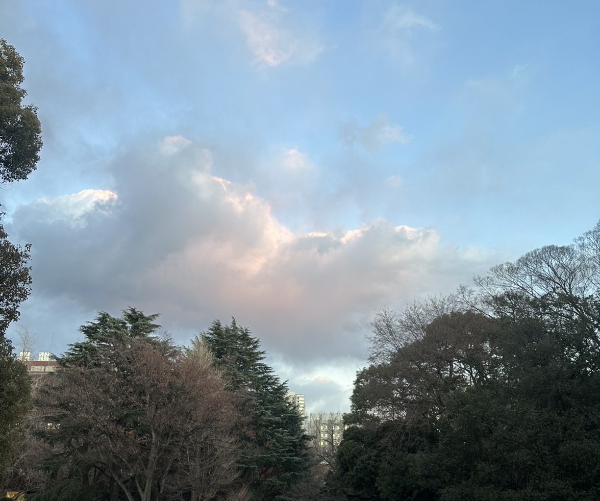 淼淼淼鑫鑫鑫SC