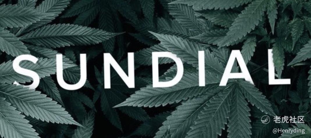 满仓Sndl就是不卖