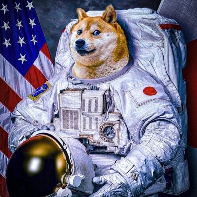 dogeking