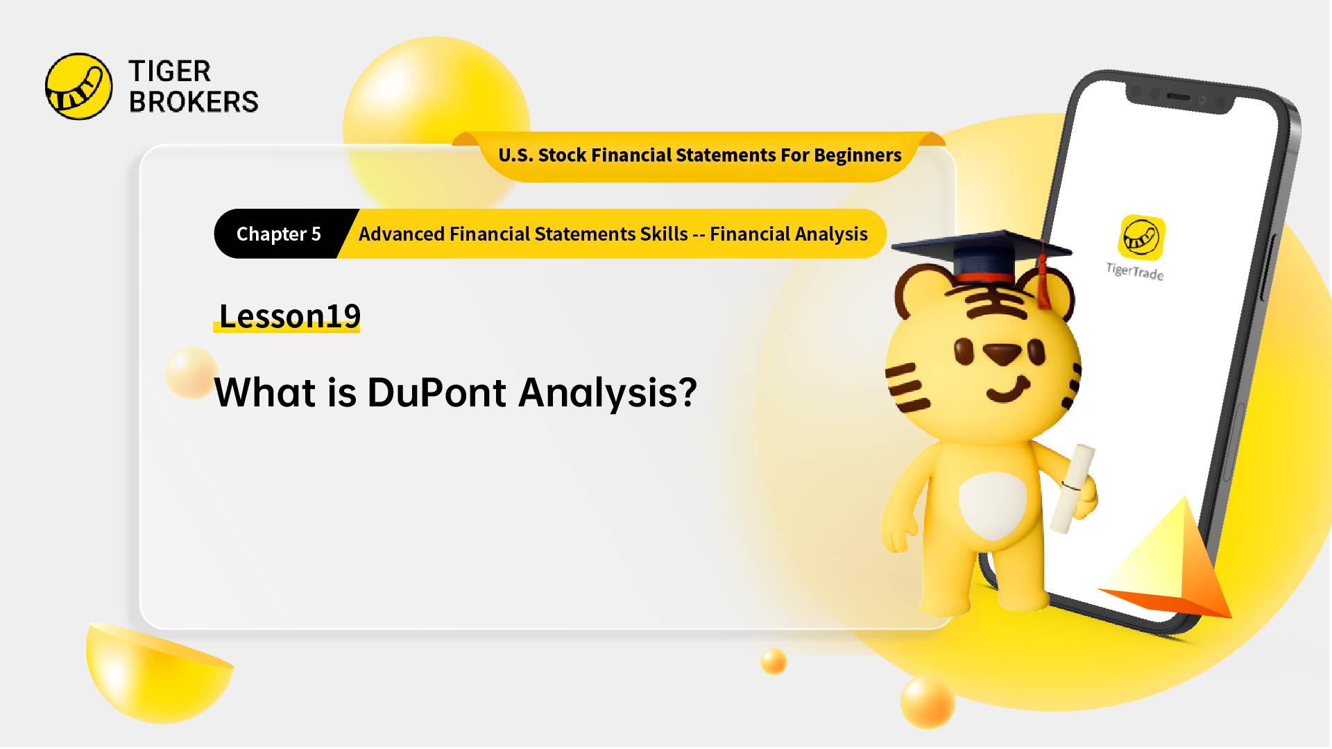 Lesson 19: What is DuPont analysis?