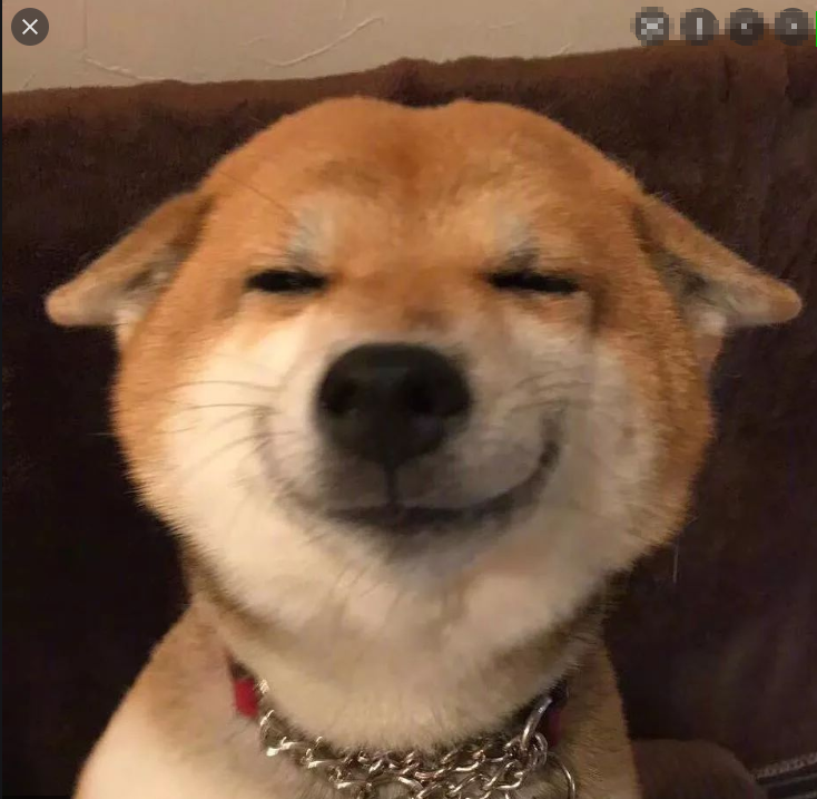 刘哈哈哈哈