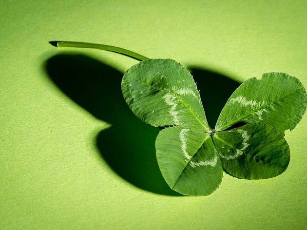 Clover4Leaf