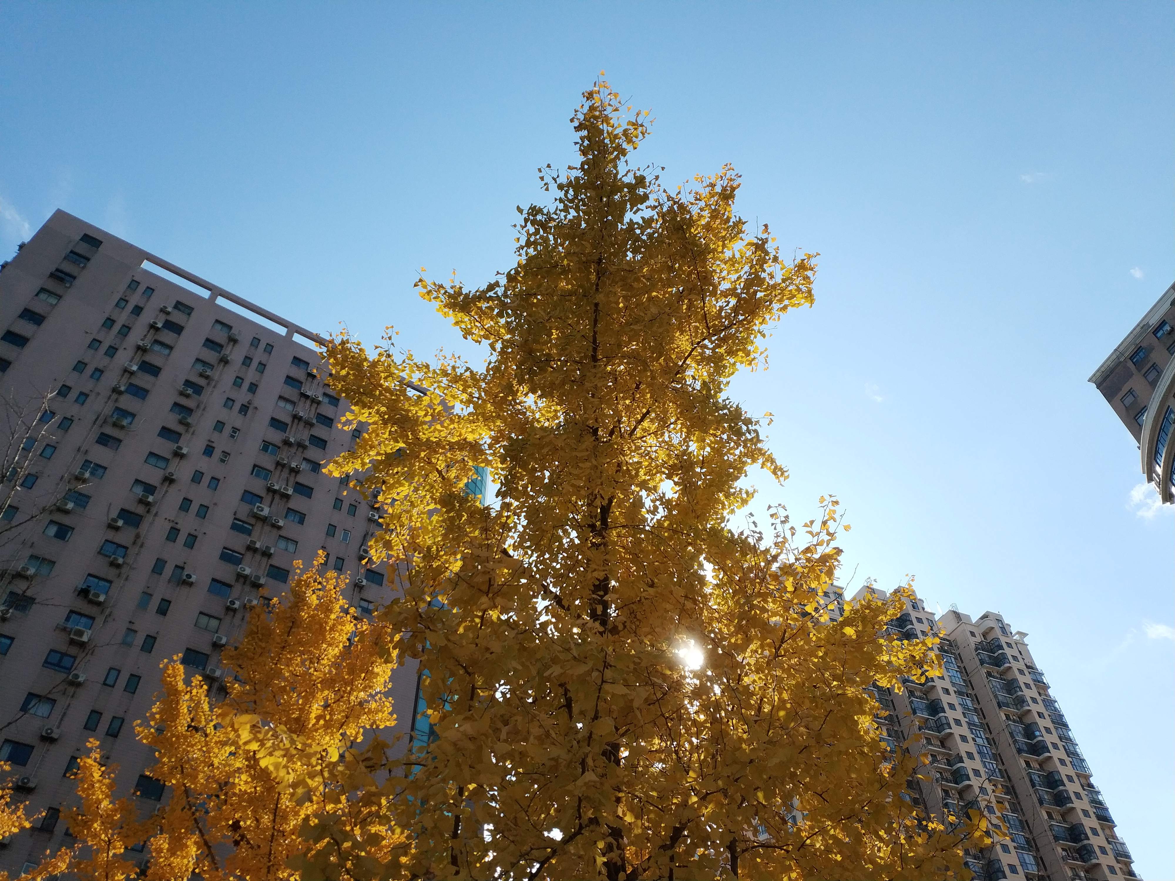 股市风清扬