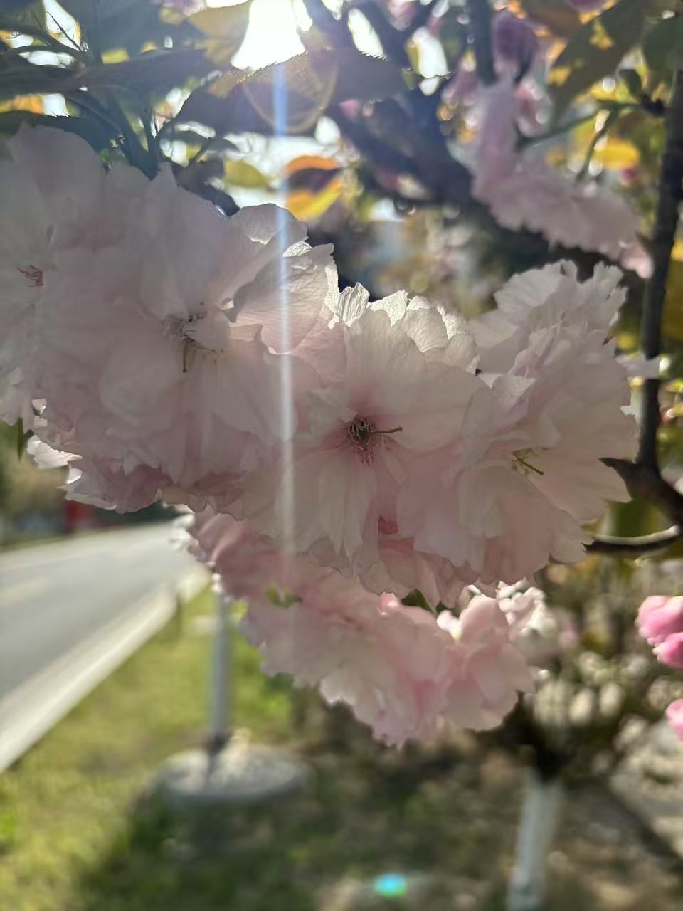 爱与离