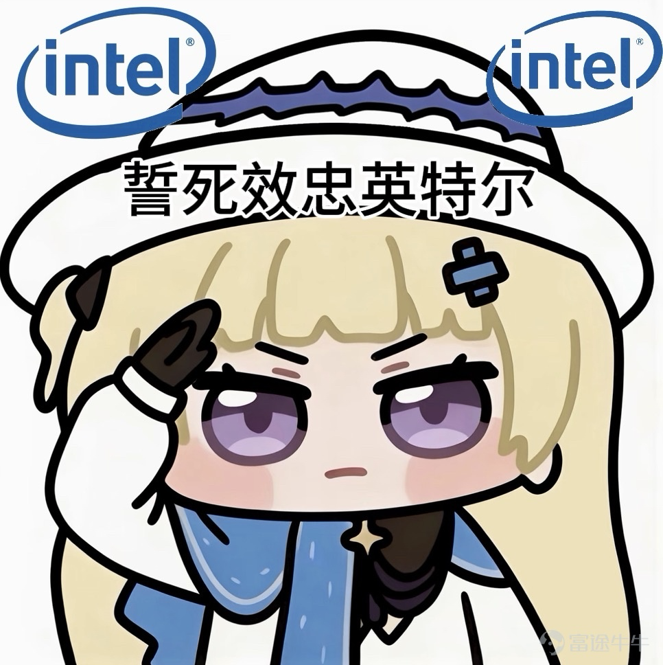 野兔i