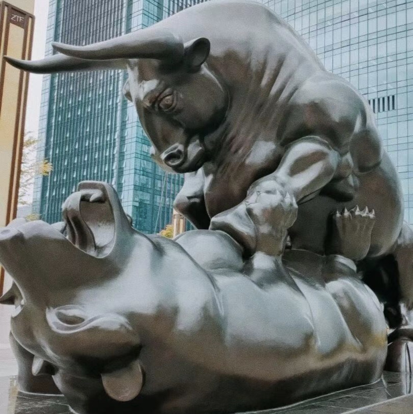 新手想自由