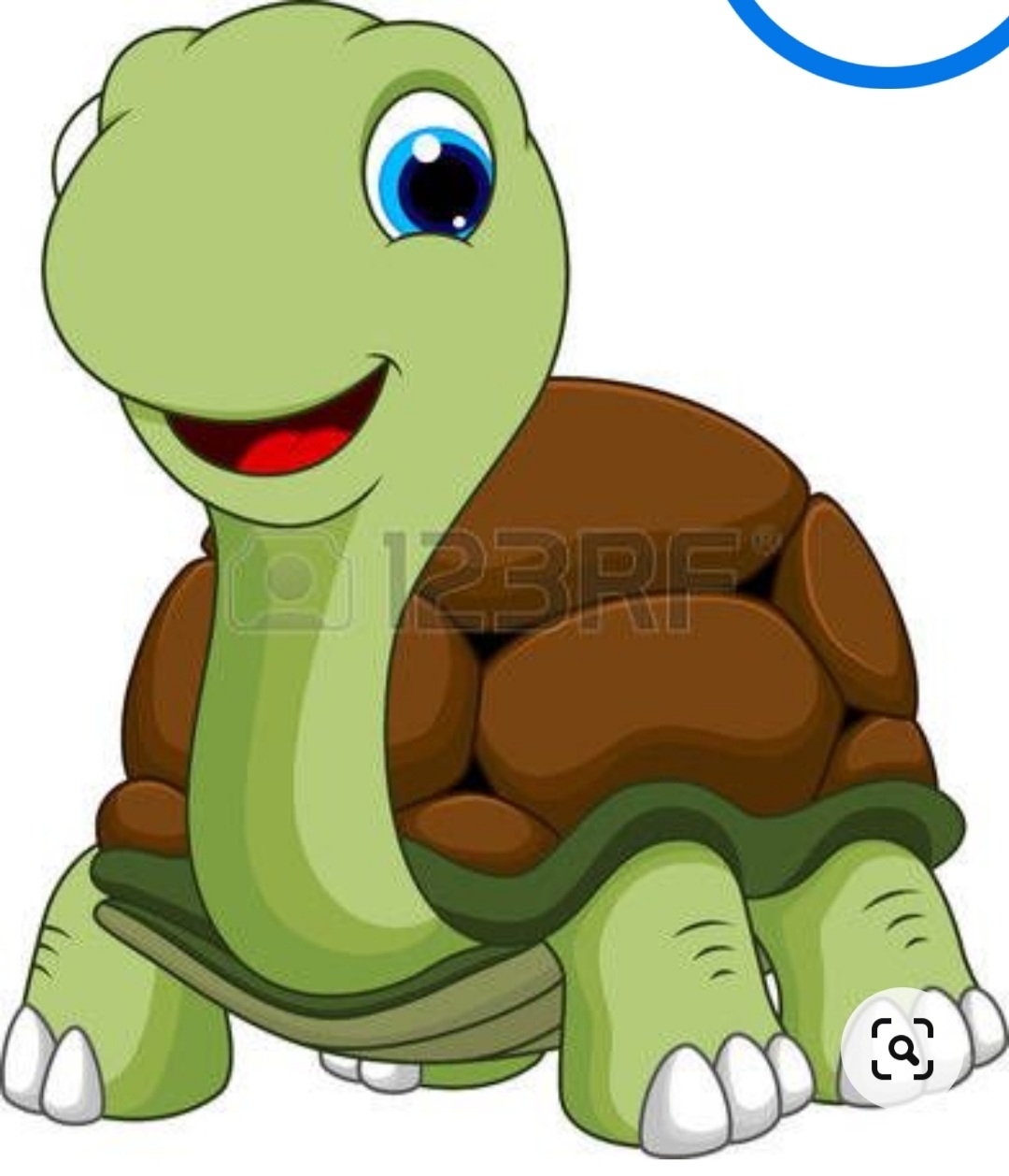 EstherTurtle