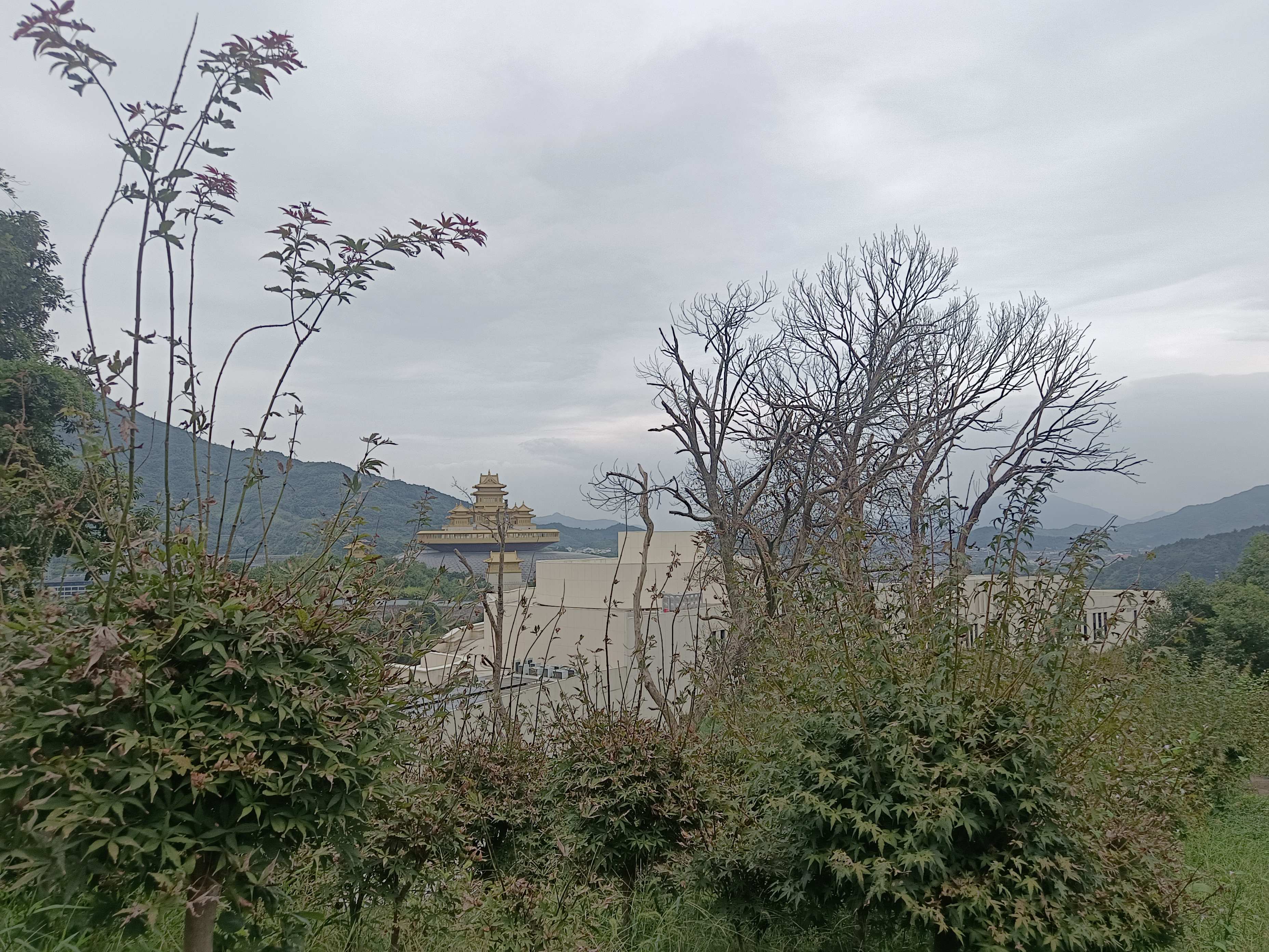不懂老师