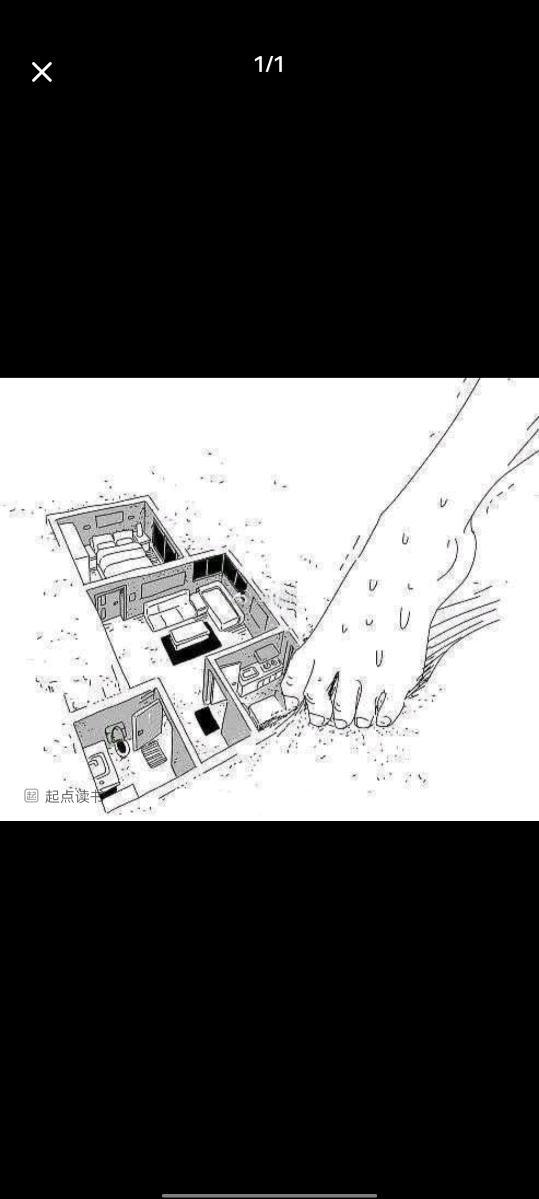 骑极光