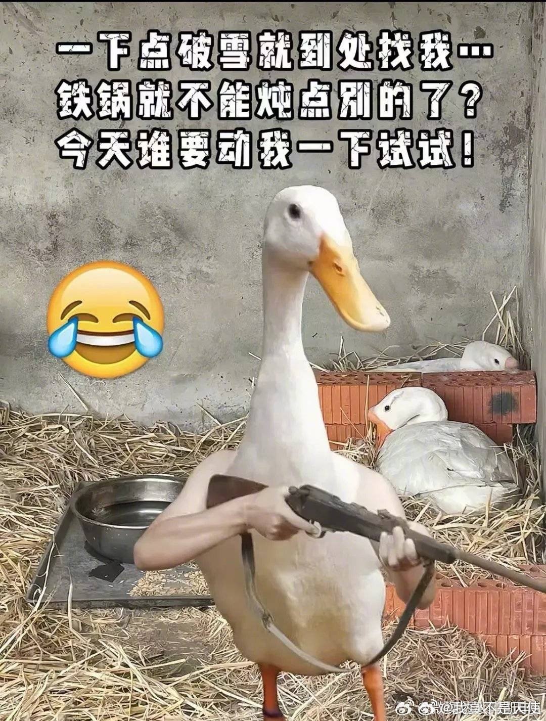 洋韭菜什么味