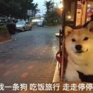 该吃吃_该喝喝