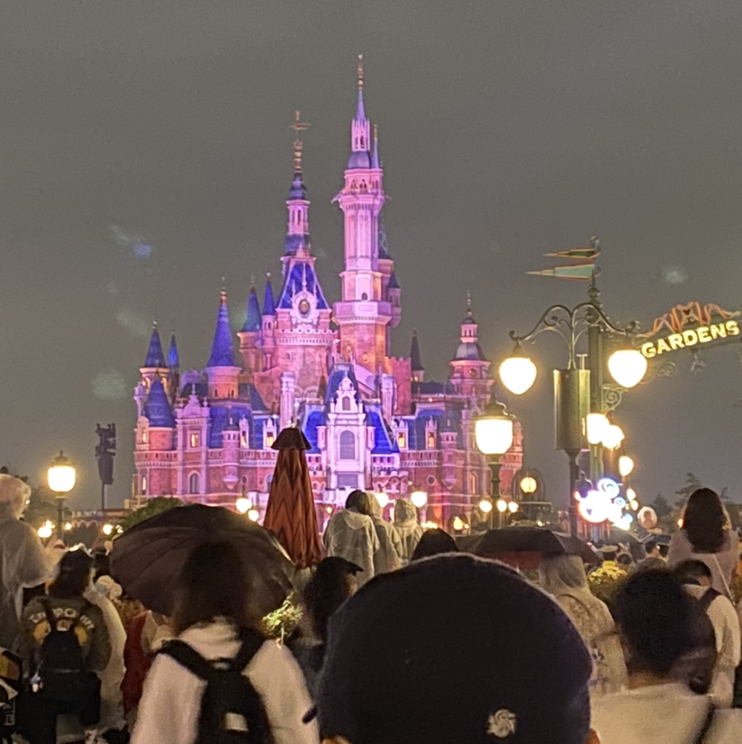 安静等待花盛开