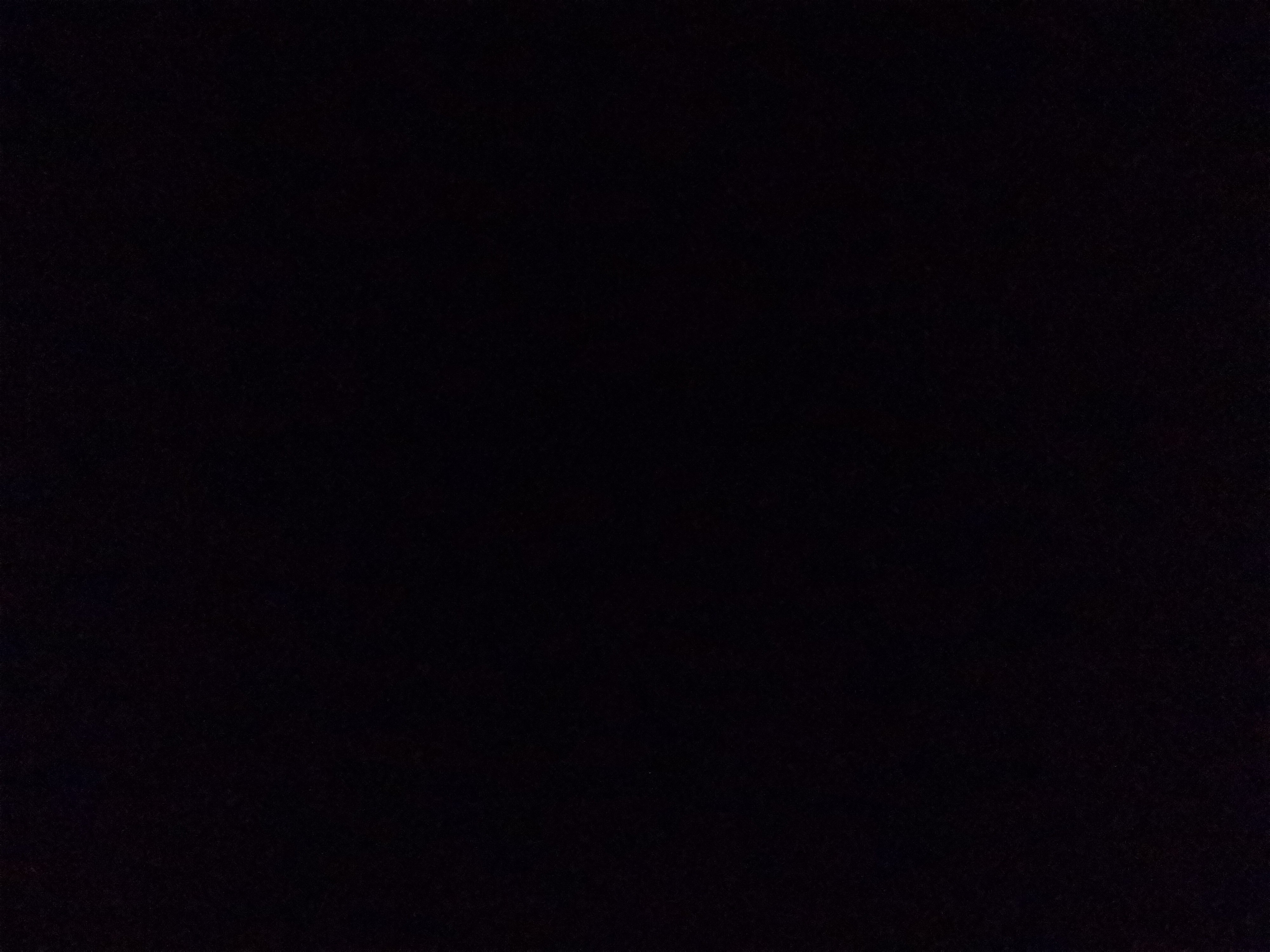 易小馒头