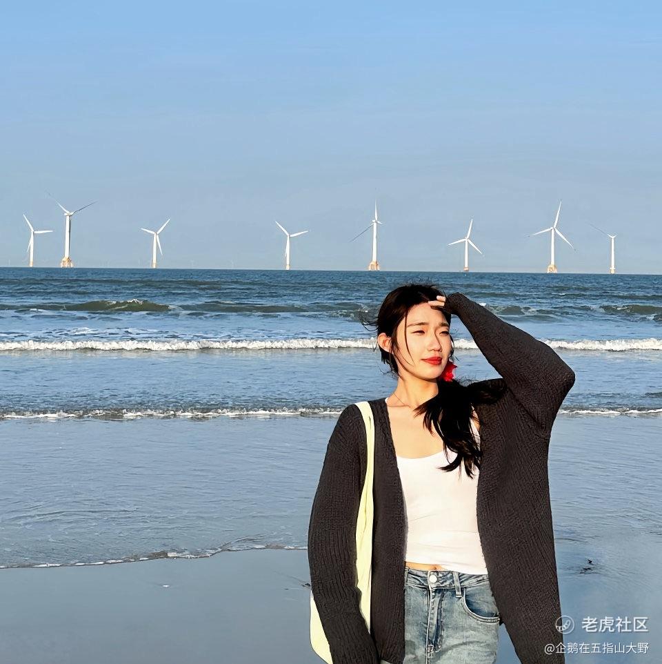 企鹅在五指山大野