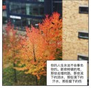 饶居畅