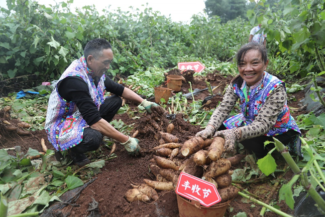 丰收节期间，拼多多投入10亿补贴资金、20亿流量资源扶持新质商家。杨宛|摄