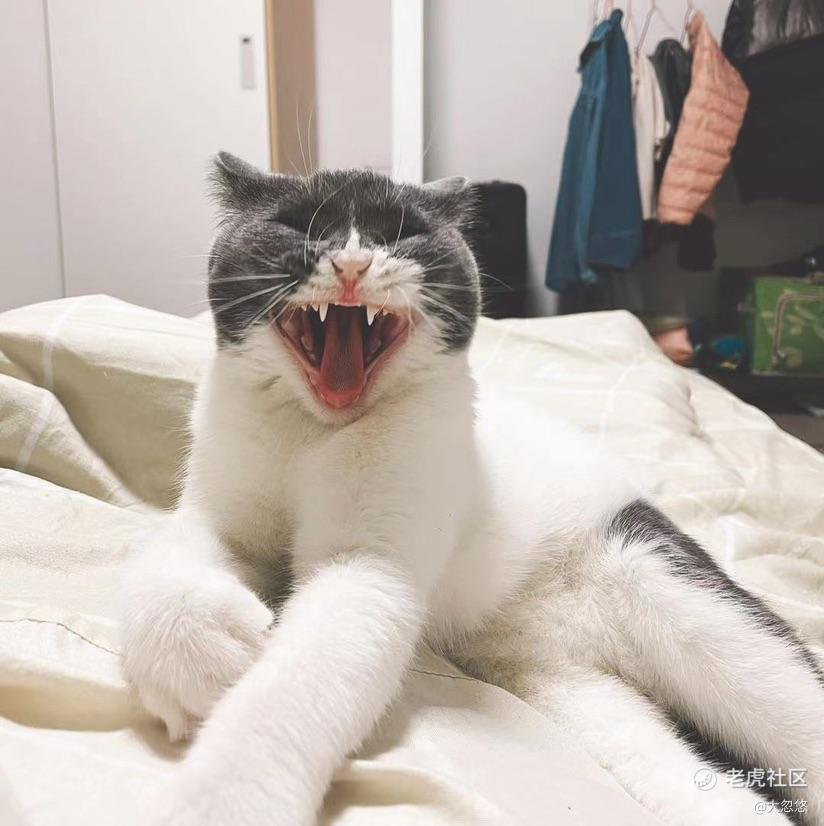 猴年马月能回本