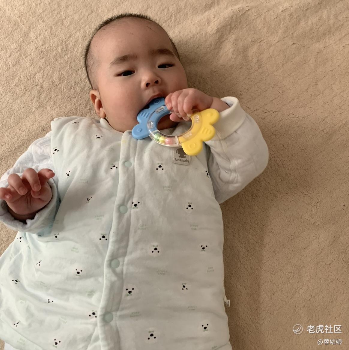 蓉姑娘