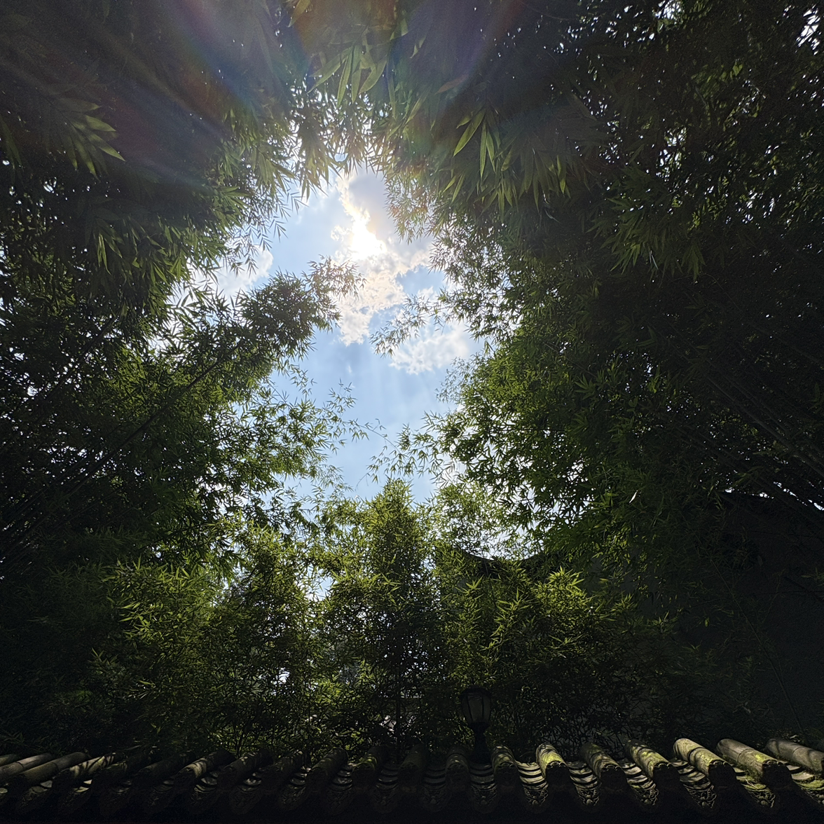 SKY_1029