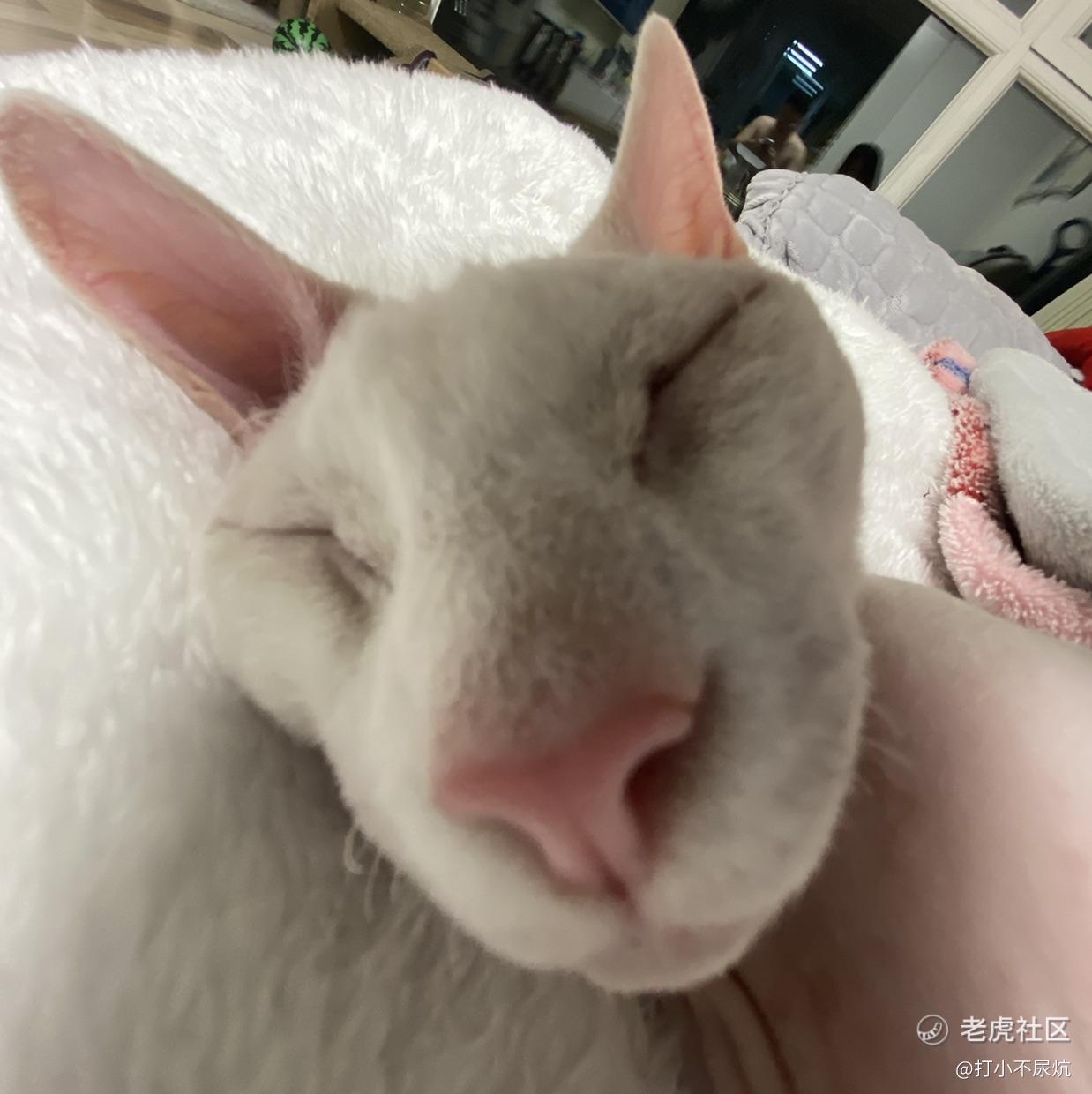 打小不尿炕