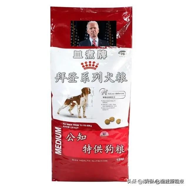 专打慕洋犬