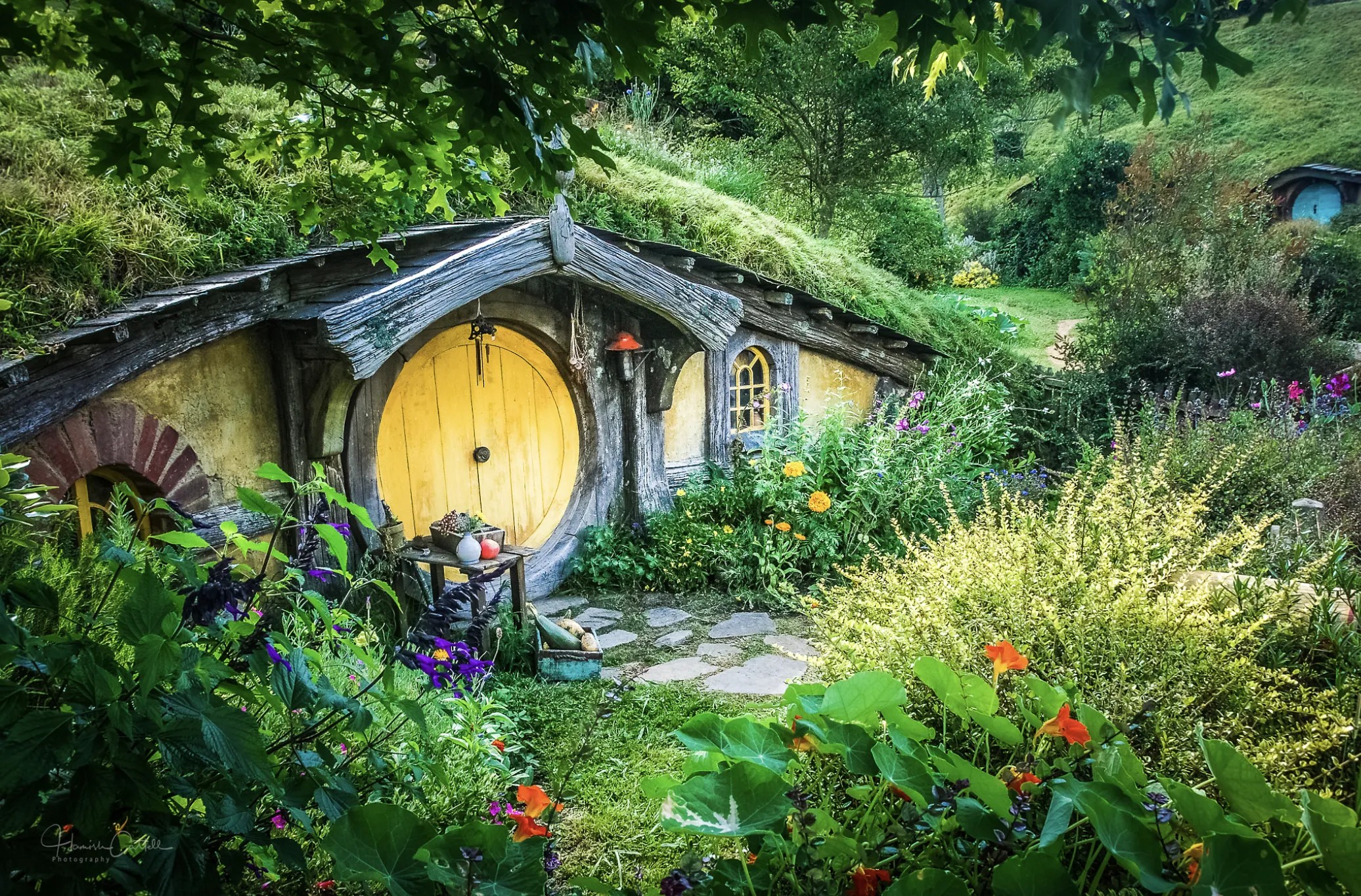 借山而居