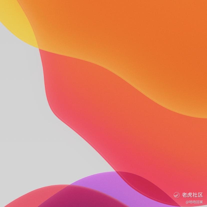 哈哈回家
