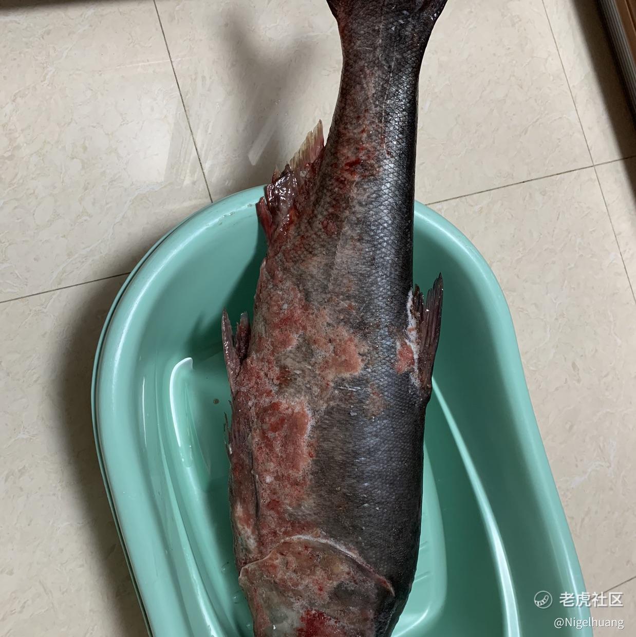 咸鱼翻身农奴把歌唱