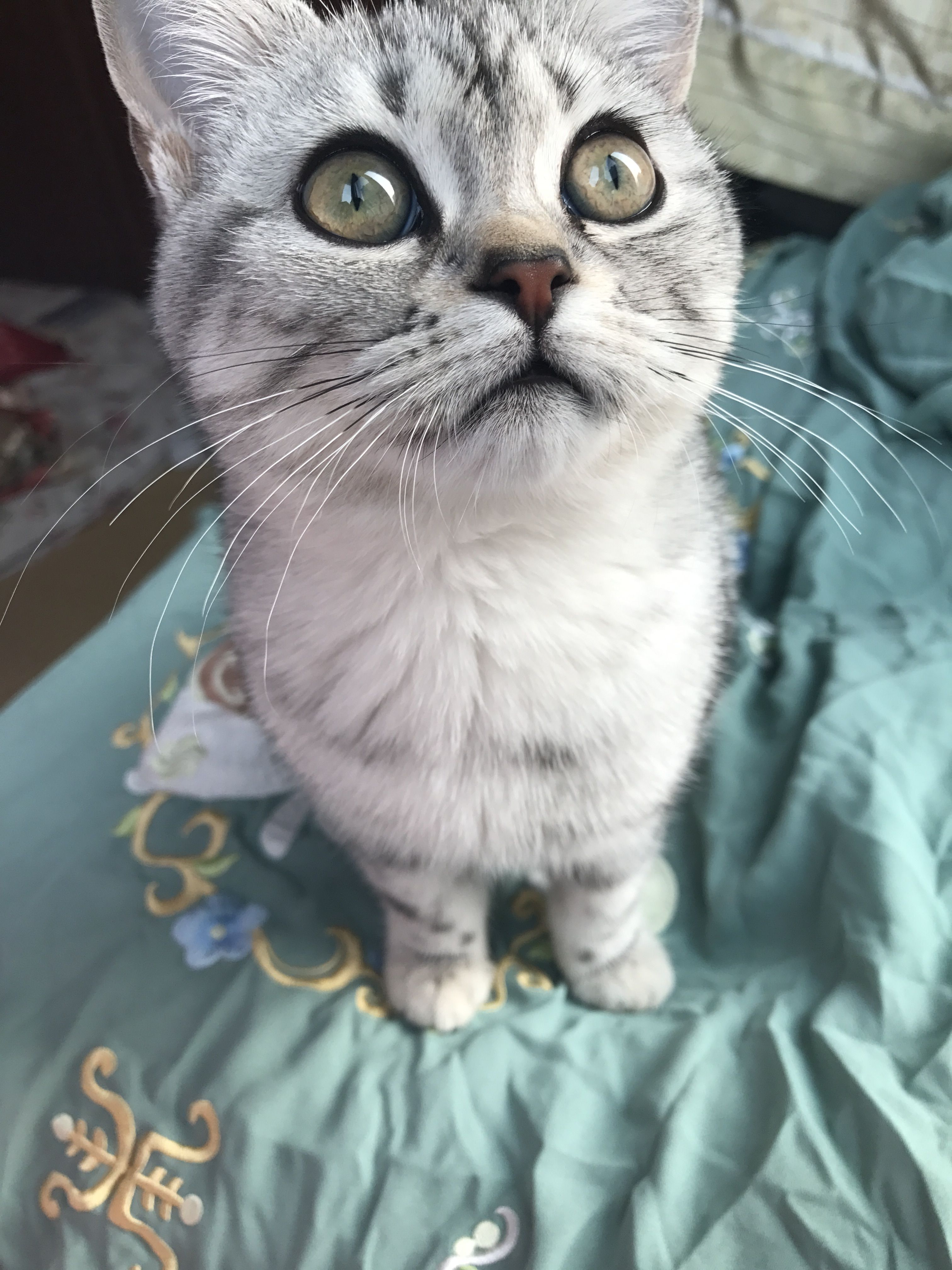 笙梦