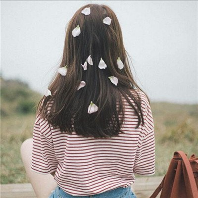 百宋一尘