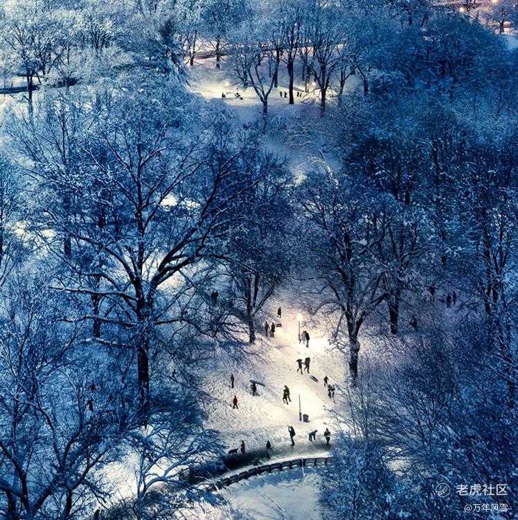 万年风雪