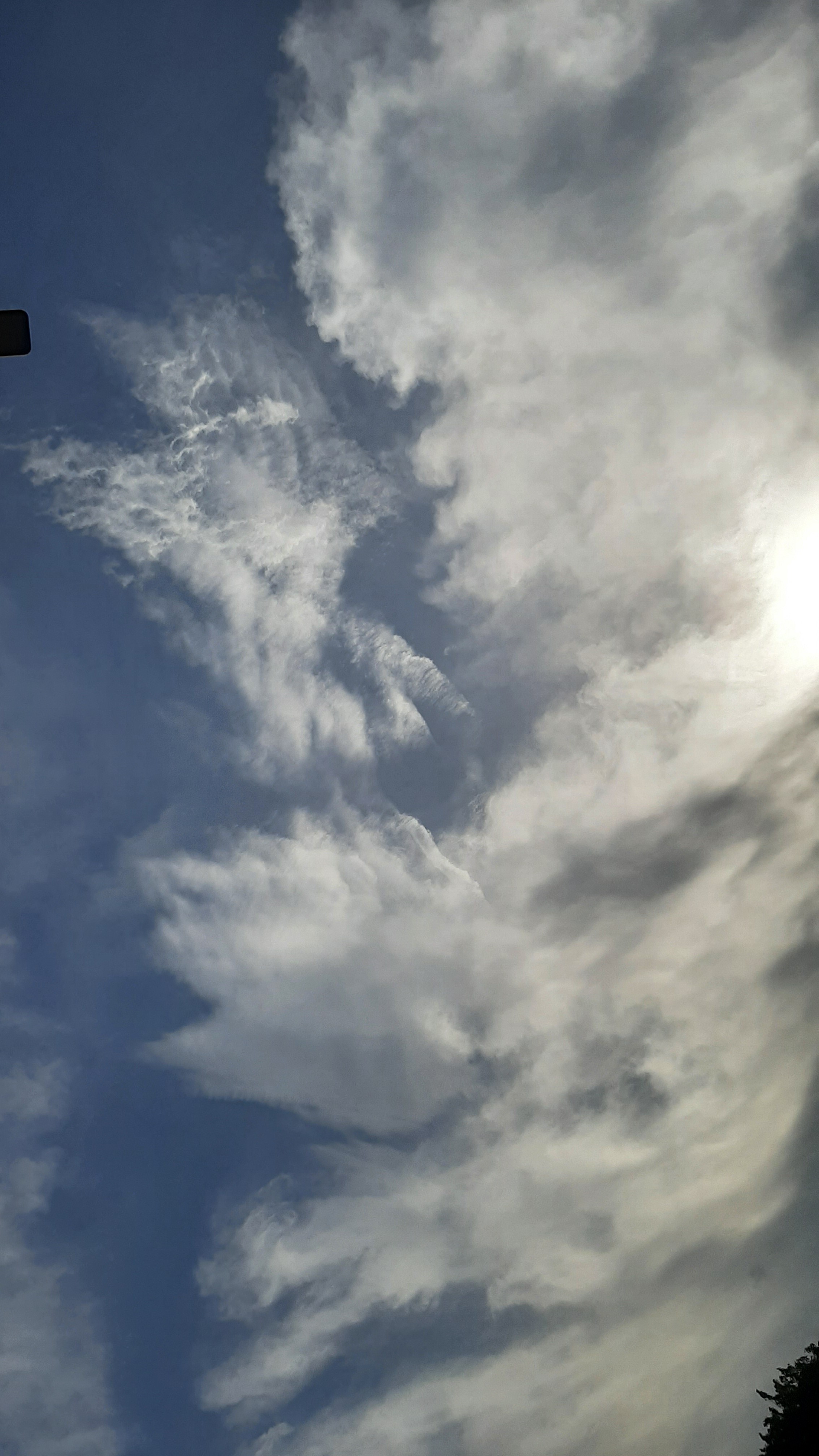 草原森林億庚鑫