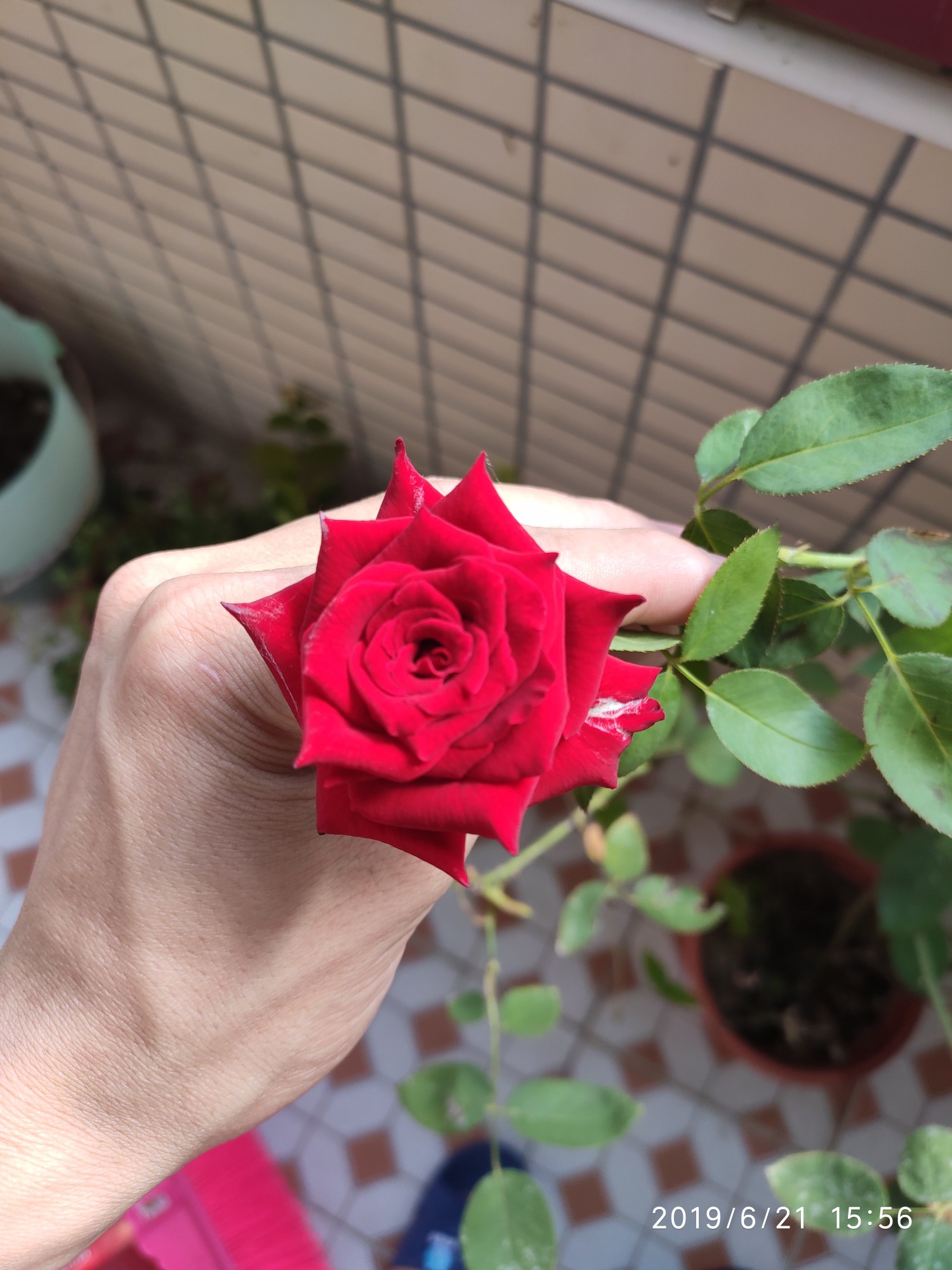 开启价值投资之路