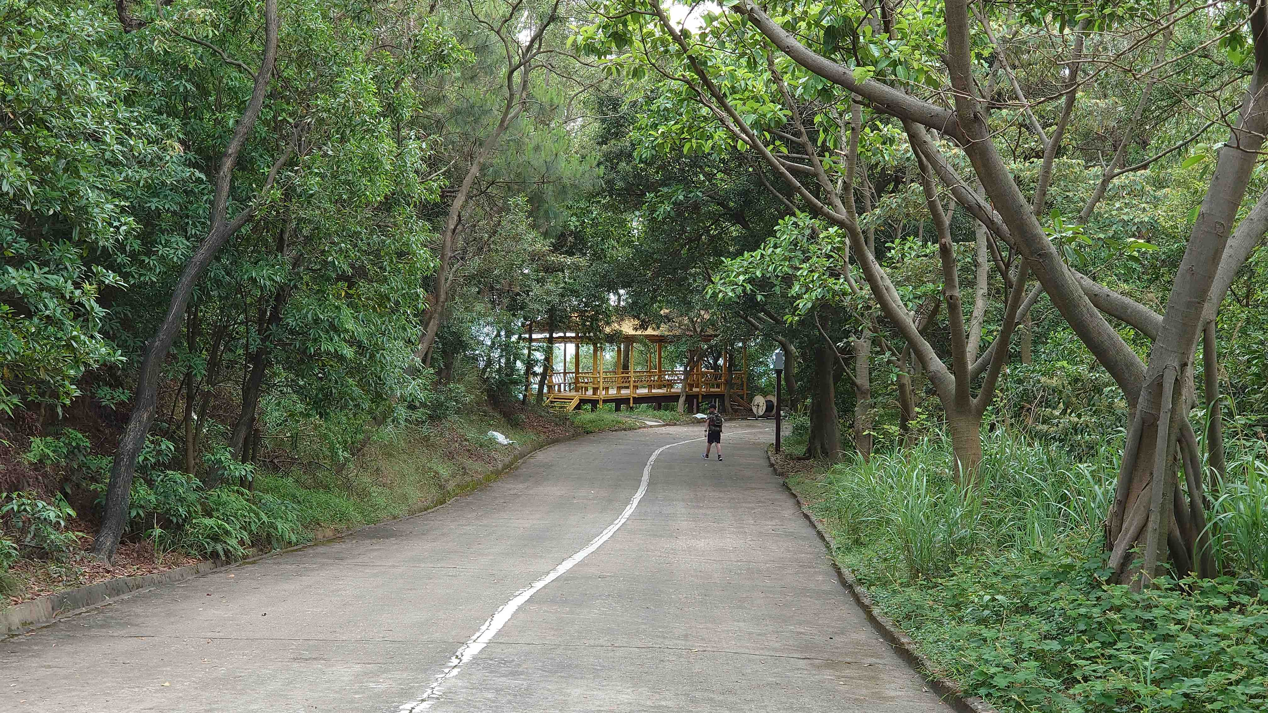 童话我做个天际通