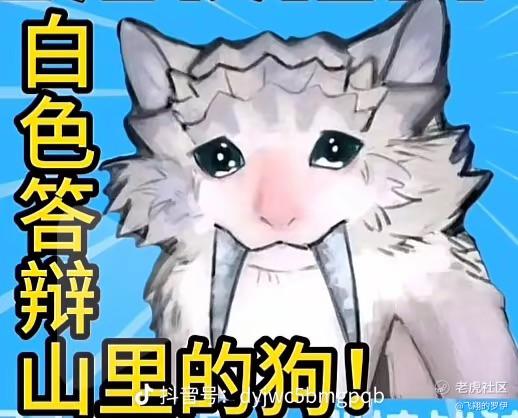 飞翔的罗伊