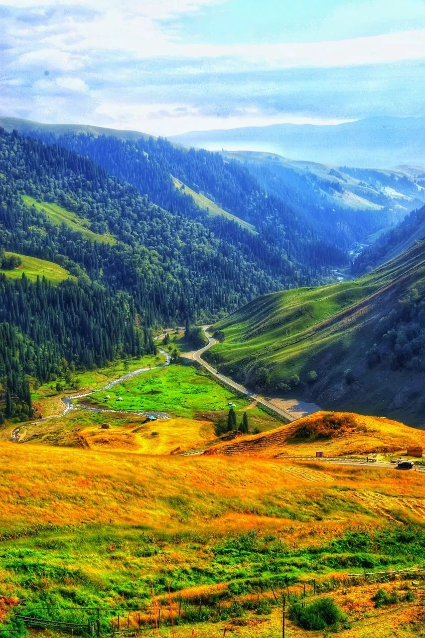 温文尔雅的伊丽莎白